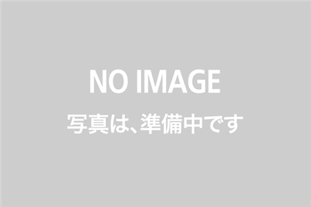 Hard Chrome Plating Application